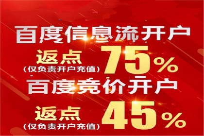SEM广告创意与优化：成功案例分享